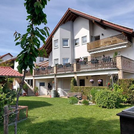 Ferienwohnung Kempf Mandelbachtal Ommersheim 외부 사진